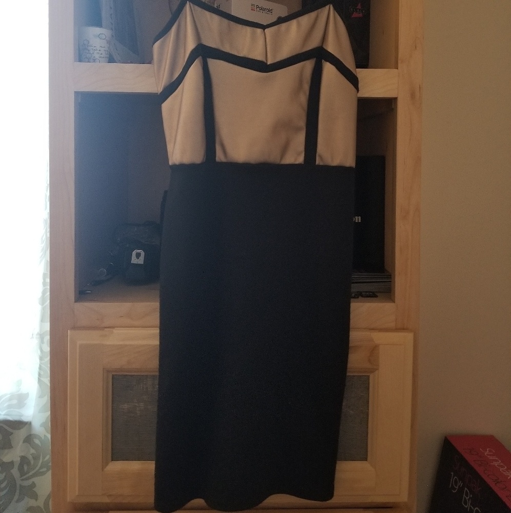 Mini dress from charolette Russe